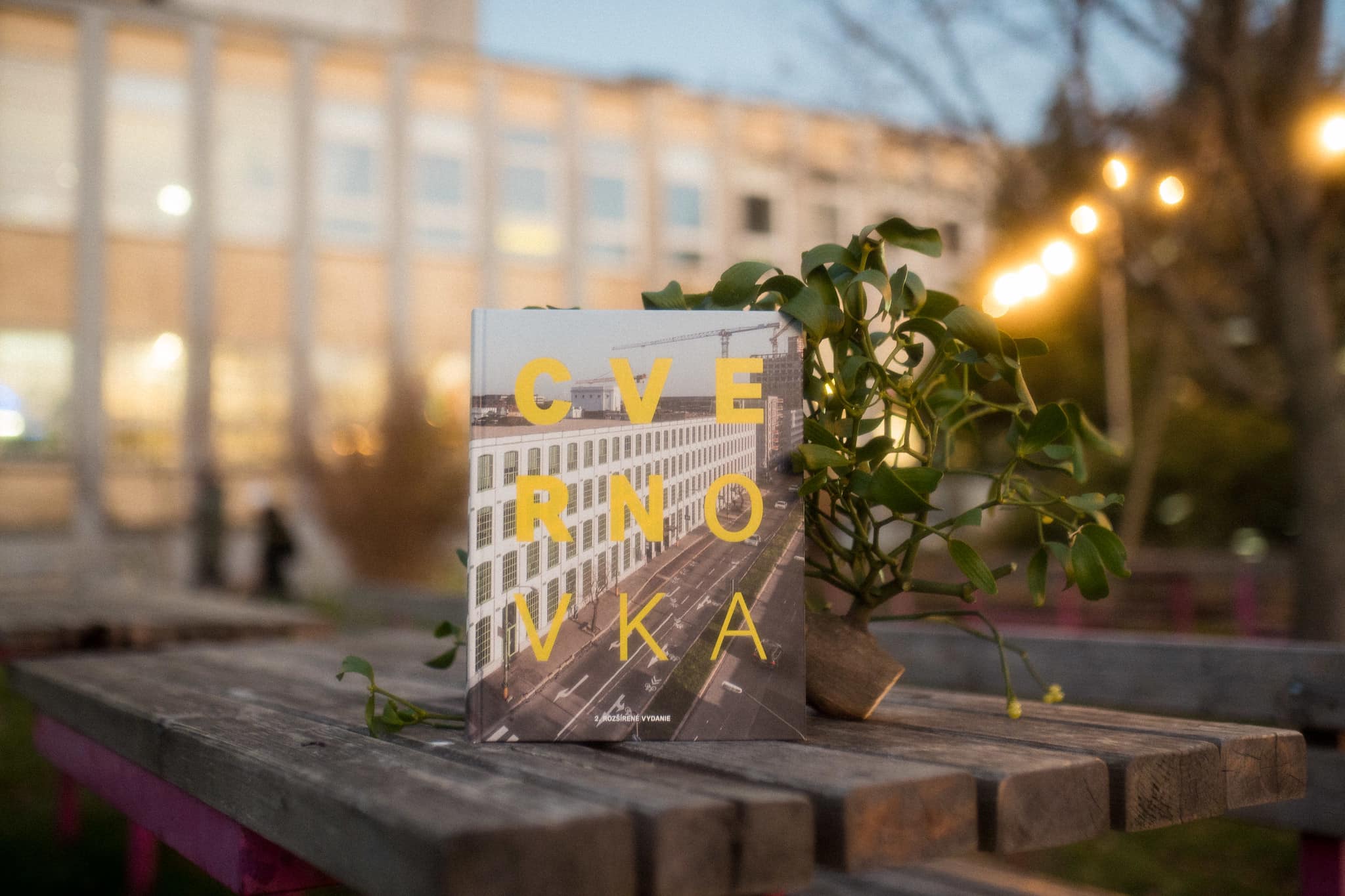 Kniha Cvernovka pod stromček