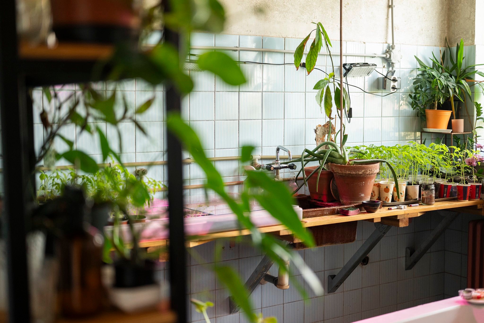 Naša betónová džungla!