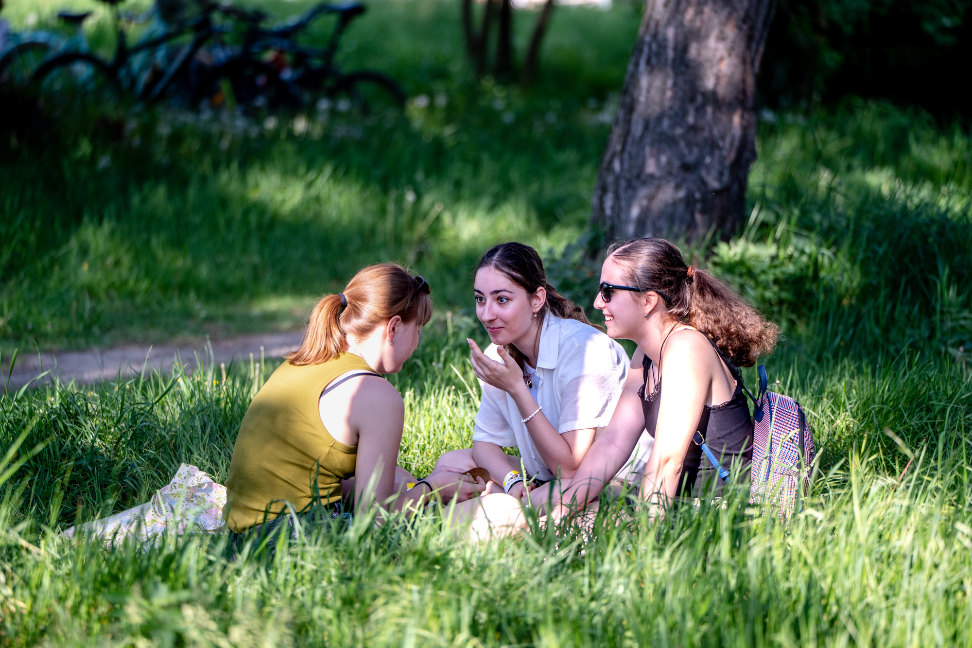 Živý kampus a Leto pod Palmou